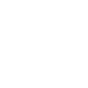 Selecta Logo Weiß