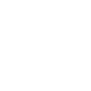 Selecta Logo Weiß